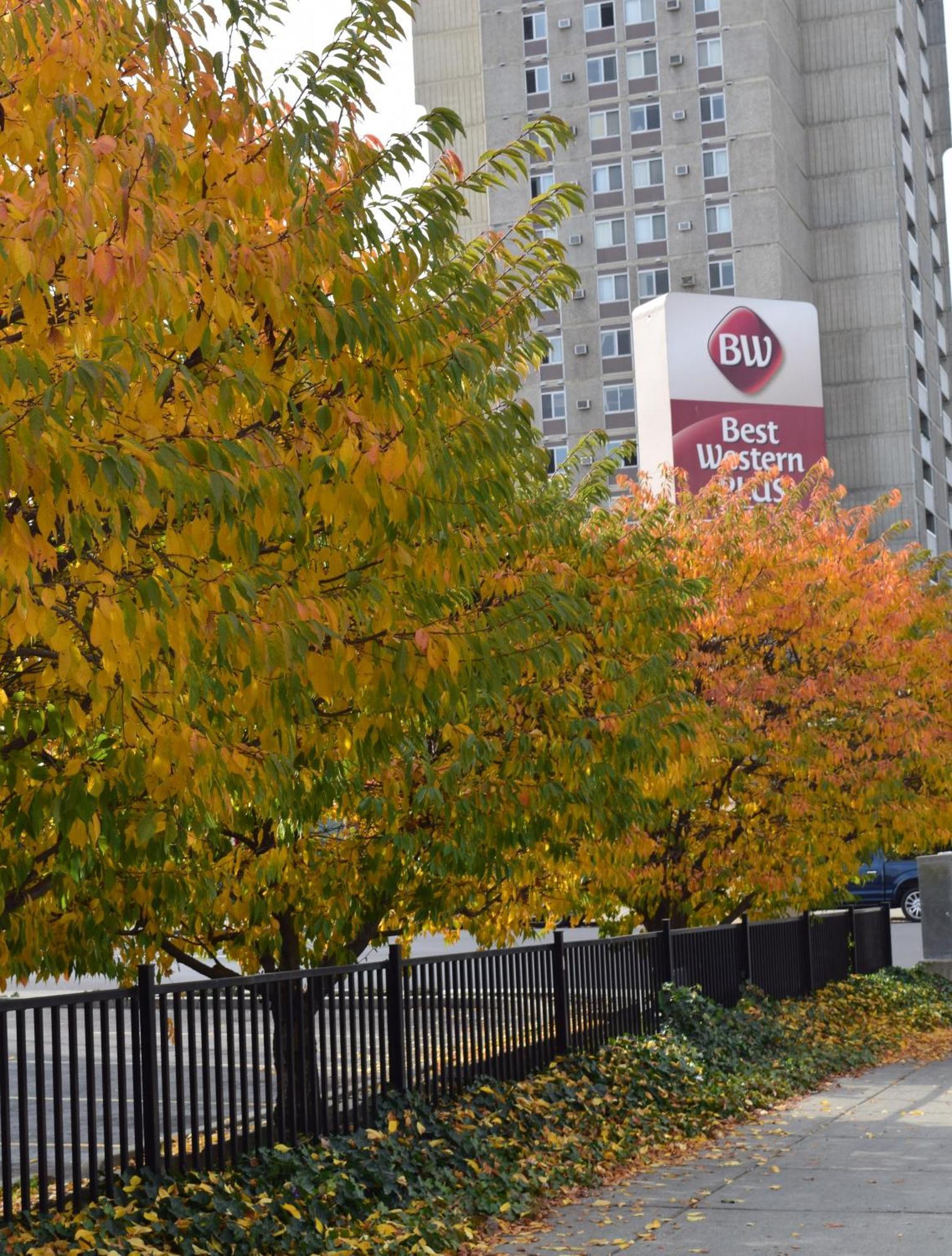 Best Western Plus City Center Spokane Ngoại thất bức ảnh